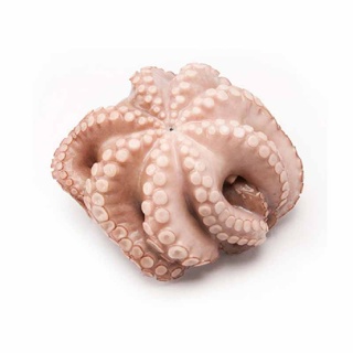 Frozen Whole Raw Octopus Crustamar 3/4kg  | per kg