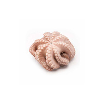 Frozen Raw Octopus Fesba 3-4kg | per kg