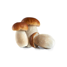 Porcini Mushroom GDP 1kg Case | per kg