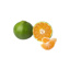 Myagawa Clementine Fogliati IT | per kg